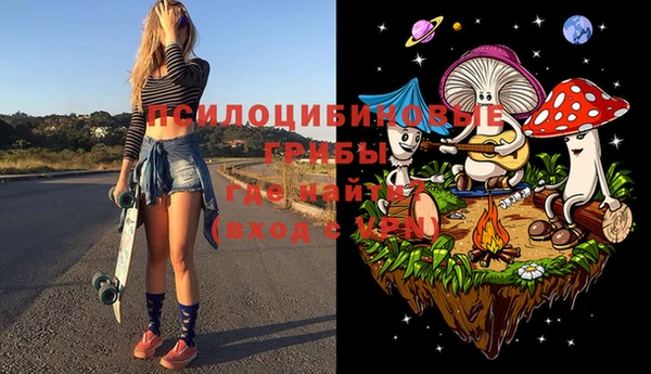 твердый Алзамай
