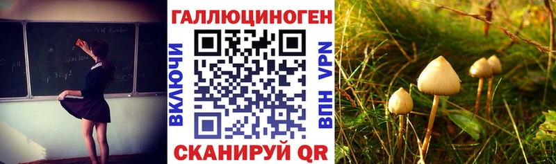 где продают   Алзамай  Псилоцибиновые грибы мухоморы 
